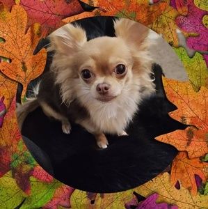 Meet your Posher, Deanna